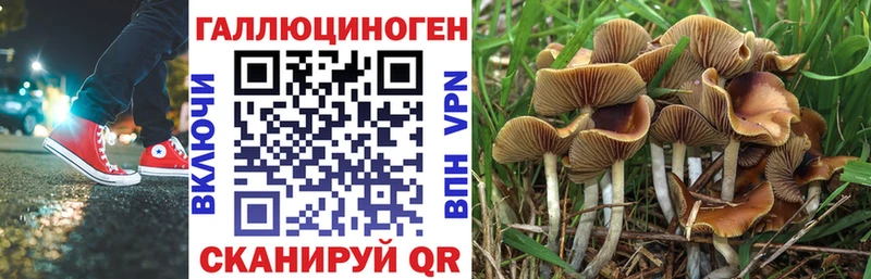 Псилоцибиновые грибы MAGIC MUSHROOMS  Светлый 